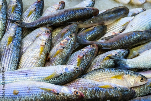 Red Sea Fish - Fish Market in Hurghada, Egypt photo