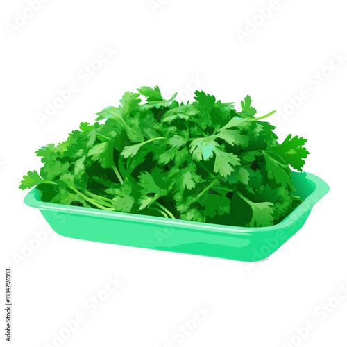 Fresh coriander and parsley isolated on white vegetable vector illustration (1)