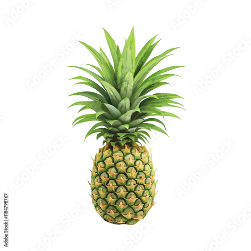 Pineapple fruit vector illustration (1)