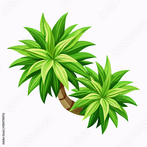 Queen of Dracaenas vector illustration (1)