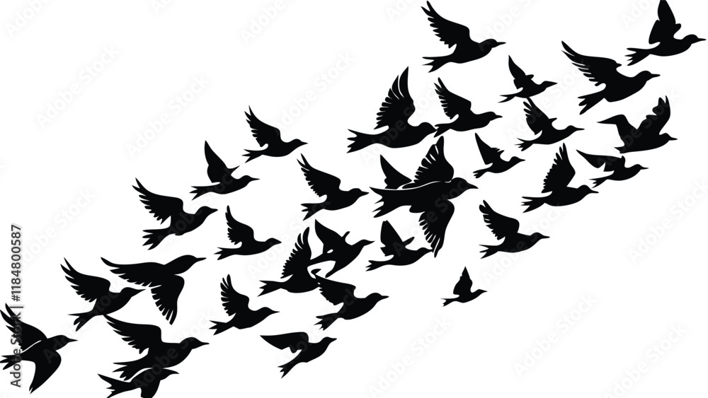 Fototapeta premium Flock of Birds in Formation
