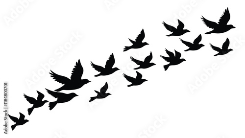 Flock of Birds in Formation