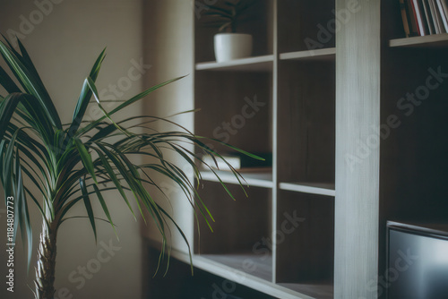 Modern Minimalist Living Room with Indoor Plant and Open Shelving