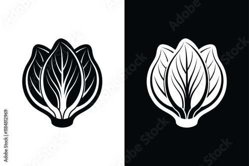 Bok choy icon vector on White Background ,Vector Art Illustration on white background.