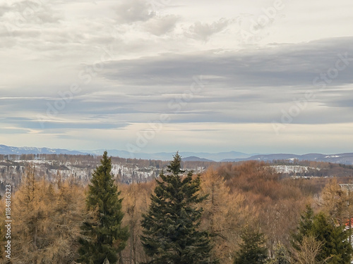 A scenic view of a serene landscape with mountains in the distance, featuring dense forest and cloudy skies