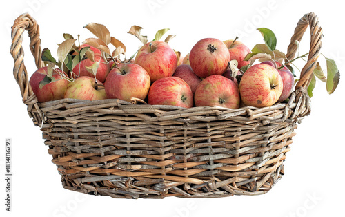 A basket of apples freshly picked during the autumn season Isolated on Transparent Background PNG photo