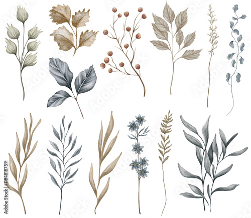 Watercolour winter floral design: flower, dried branch, berry, greenery. twigs and leaves. Wedding designer element set