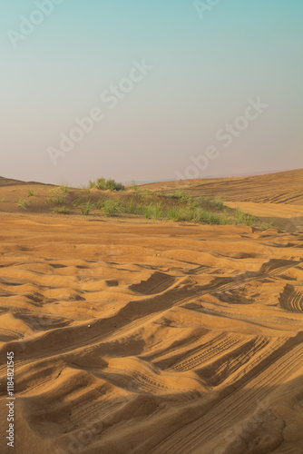 Desert, Sharjah, United Arab Emirates photo