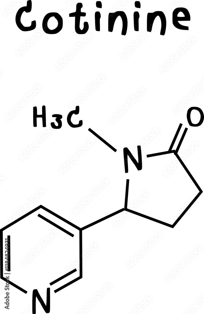 cotinine or chemical structure of cotinine isolate vector on transparency background cotinine or chemical structure of cotinine isolate vector on transparency background