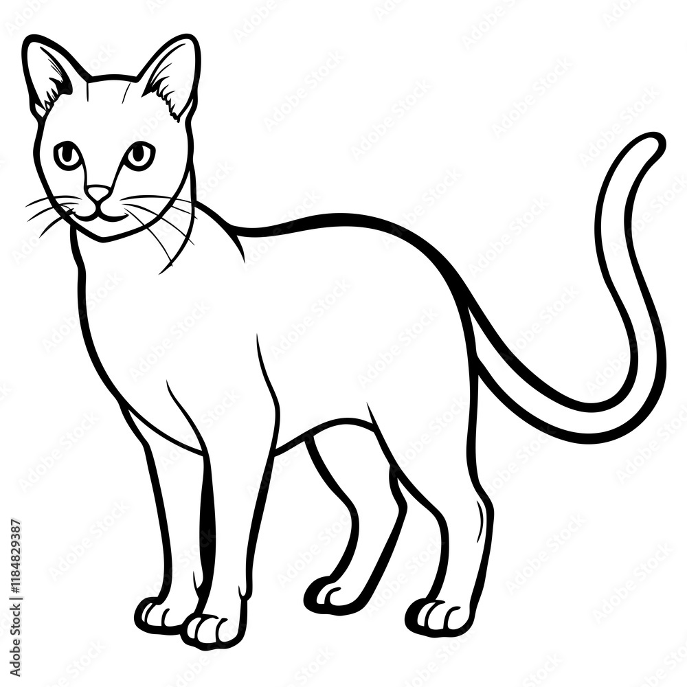 Fototapeta premium illustration of a cat