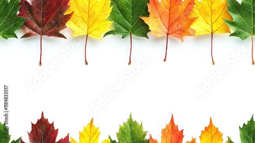 Autumn leaf border, vibrant colors, white background