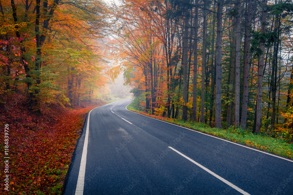 Fototapeta premium Fabulous autumn view of asphalt road in Austrian Alps among trees covered with orange and crimson leaves. Beautiful morning scene of mountain woodland, Austria, Europe. Travel concept background.