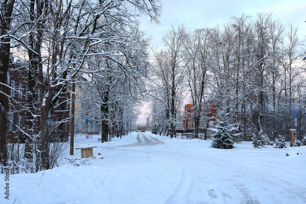 A snowy winter landscape with trees by an unplowed road invites adventure and serene exploration A snowy winter landscape with trees by an unplowed road invites adventure and serene exploration
