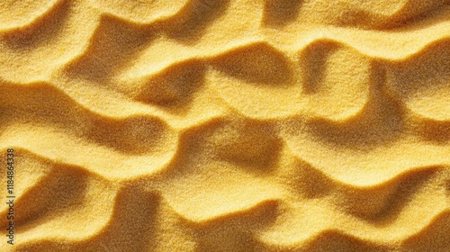 Sand Texture with Footprints Under Bright Sunlight