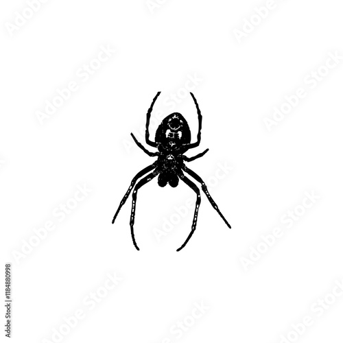 black spider vector graphic icon design