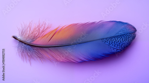 Feather blending pink and blue colors on purple background, artistic macro photography