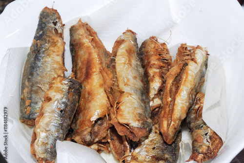  sardine