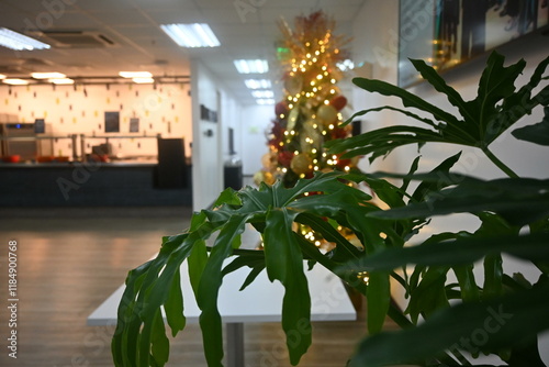 Fototapeta Naklejka Na Ścianę i Meble -  tree in the city