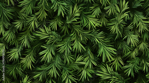 Wallpaper Mural dense green pine foliage background texture Torontodigital.ca