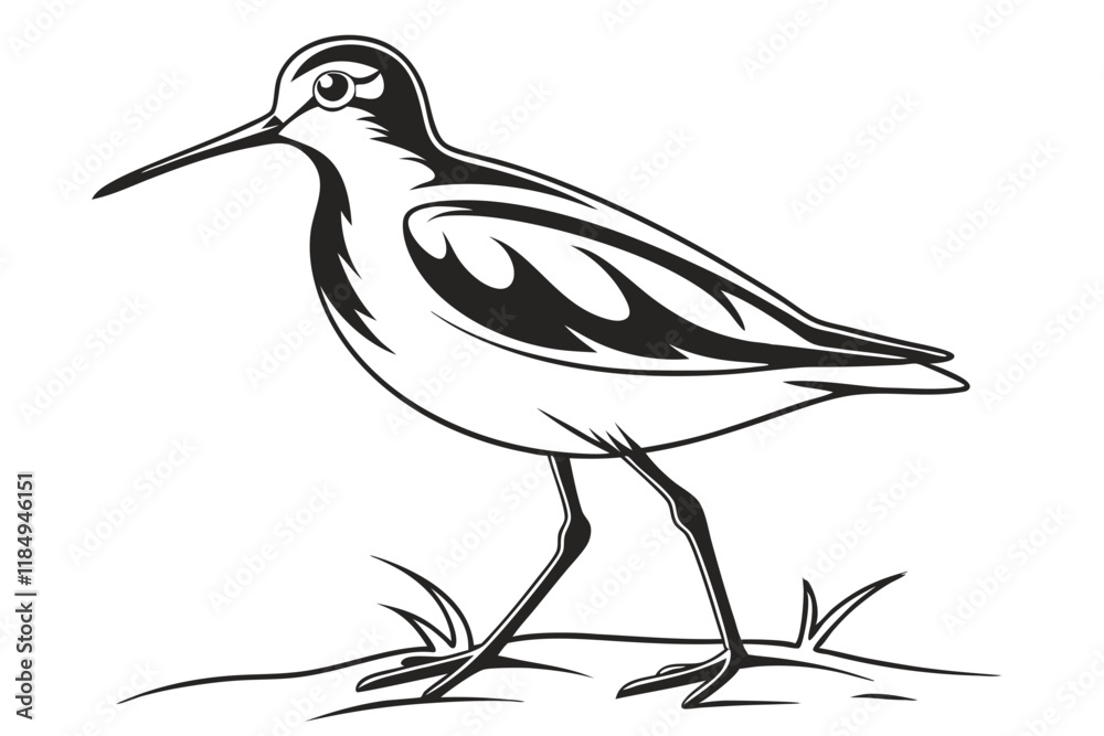 Obraz premium A black color line art Redshank