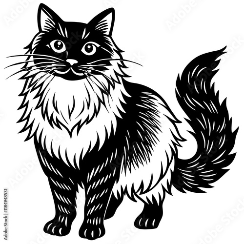 ragdoll cat black silhouette vector with white background, Pet animal silhouette