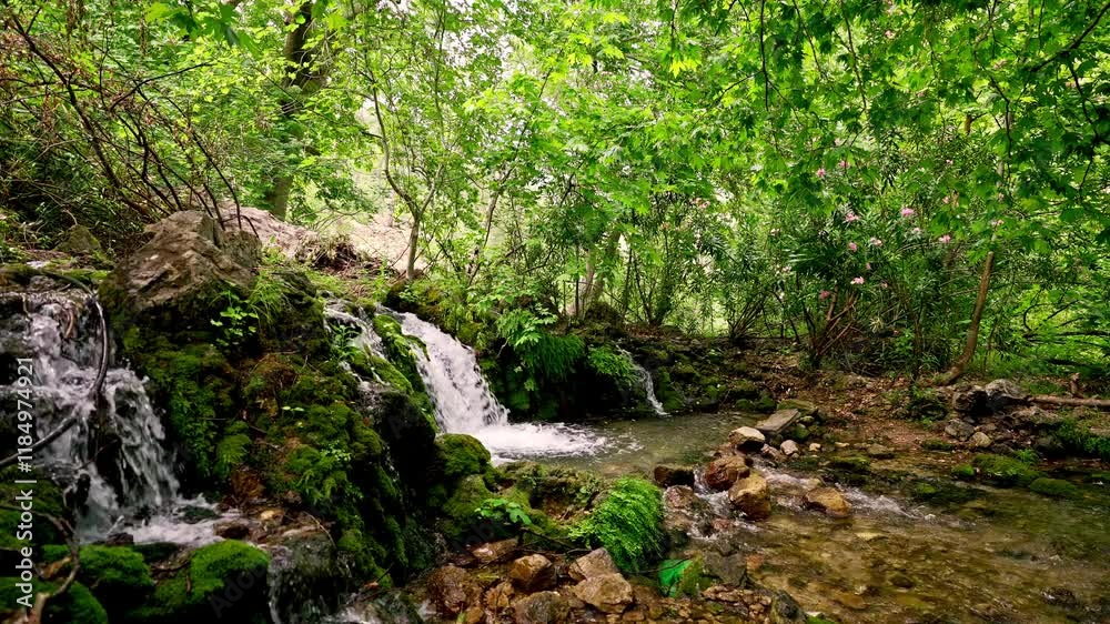 A serene forest atmosphere featuring a crystal-clear waterfall flowing over moss-covered rocks surrounded by lush greenery. A perfect depiction of nature's tranquil beauty and vibrant life.