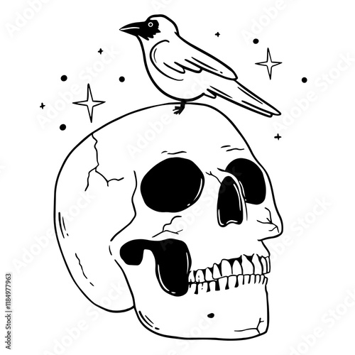 skull and crow tatto vector