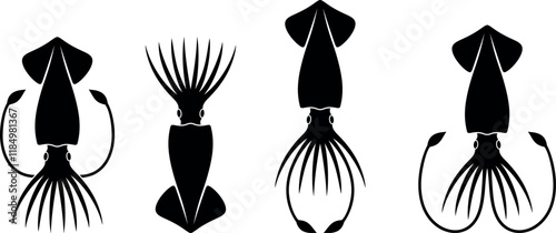 Squid logo. Isolated squid on white background