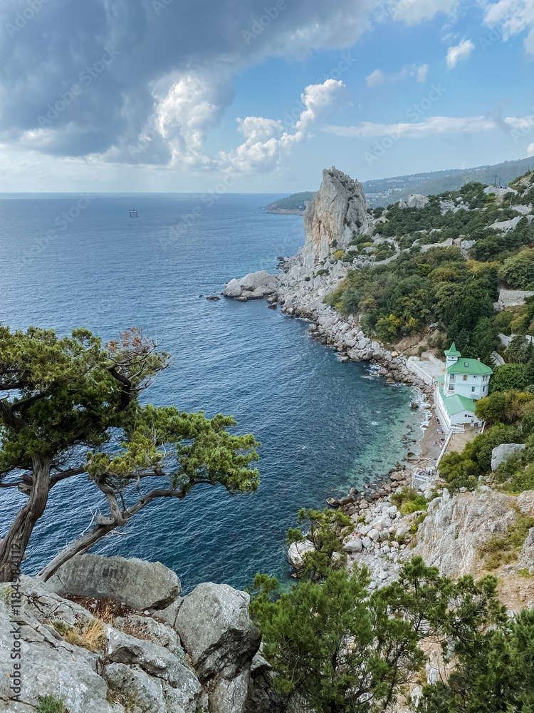 The breathtaking view of the vast ocean stretched out from the vantage point of a tall cliff, with a solitary tree standing majestically in the foreground, adding to the scenes beauty The breathtaking view of the vast ocean stretched out from the vantage point of a tall cliff, with a solitary tree standing majestically in the foreground, adding to the scenes beauty