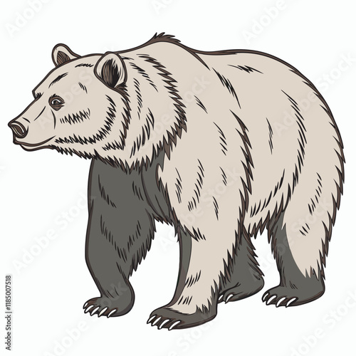 Wild brown bear cartoon character flat vector illustrations set and isolated on a white background.