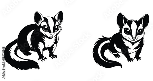 Sugar glider black and white silhouette vector illustration