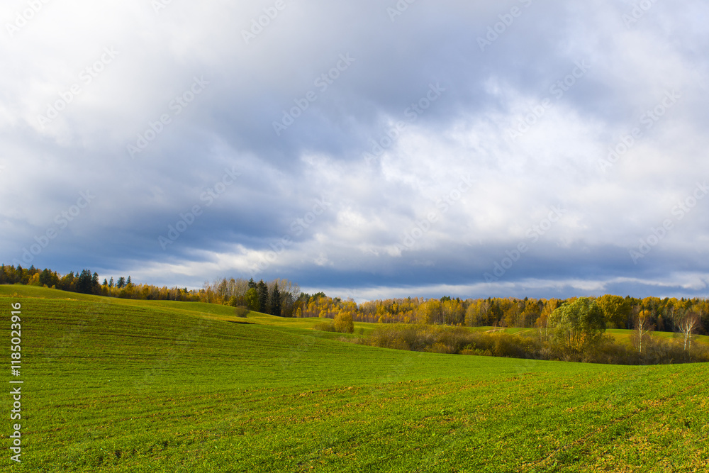 Naklejka premium Malownicze chmury nad polem 2024
