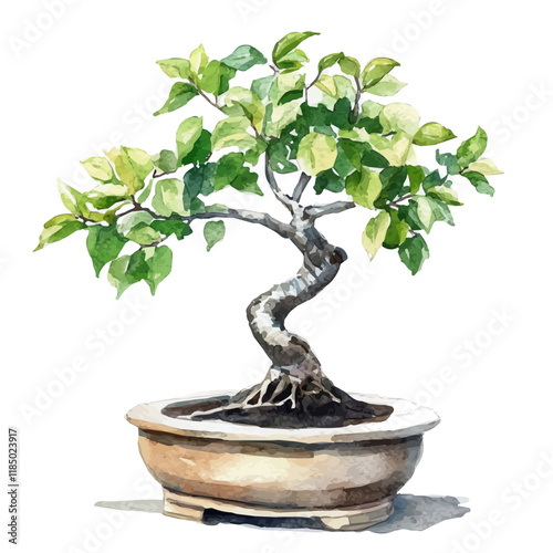 A watercolor vector of a paper mulberry bonsai, isolated on a white background. Paper mulberry bonsai vector.
