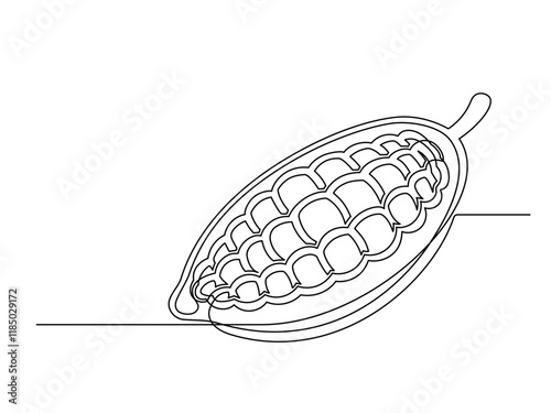 Continuous one line cacao beans plant isolated on white background. Simple vegetable silhouette. Hand drawn cacao beans outline. Vector illustration