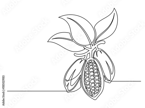 Continuous one line cacao beans branch with leaves isolated on white background. Simple vegetable silhouette. Hand drawn cacao beans branch outline. Vector illustration