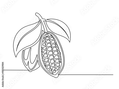 Continuous one line cacao beans branch with leaves isolated on white background. Simple vegetable silhouette. Hand drawn cacao beans branch outline. Vector illustration