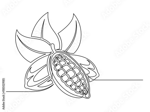 Continuous one line cacao beans branch with leaves isolated on white background. Simple vegetable silhouette. Hand drawn cacao beans branch outline. Vector illustration