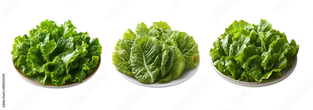 Obraz premium Fresh Green Lettuce on Plates, Perfect for Healthy Eating and Organic Food Concepts, Isolated on Transparent Background