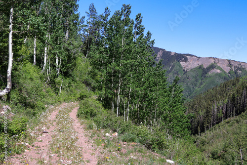 Hiking trail in San Juan Mountains of Colorado
