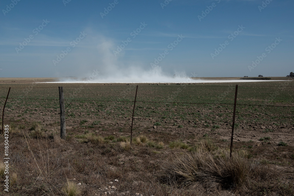 Strong wind blowing in a salt flat in La Pampa province, Patagonia, Argentina. Strong wind blowing in a salt flat in La Pampa province, Patagonia, Argentina.