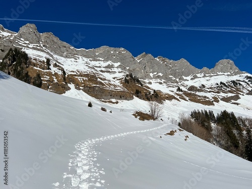 Wonderful winter hiking trails and traces over the Lake Walen or Lake Walenstadt (Walensee) and in the fresh alpine snow cover of the Swiss Alps, Walenstadtberg - Canton of St. Gallen, Switzerland photo