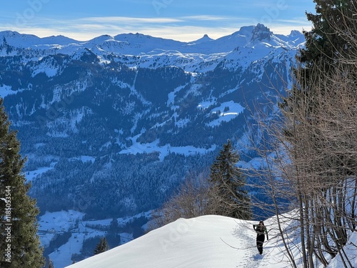 Wonderful winter hiking trails and traces over the Lake Walen or Lake Walenstadt (Walensee) and in the fresh alpine snow cover of the Swiss Alps, Walenstadtberg - Canton of St. Gallen, Switzerland photo