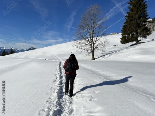 Wonderful winter hiking trails and traces over the Lake Walen or Lake Walenstadt (Walensee) and in the fresh alpine snow cover of the Swiss Alps, Walenstadtberg - Canton of St. Gallen, Switzerland photo