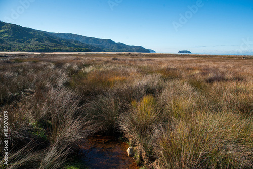 NZ's largest nation Park, Able  Tasman in the Nelson Region photo