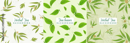 Green tea leaves pattern backgrounds. Herbal leaf pattern cover. Vector EPS 10