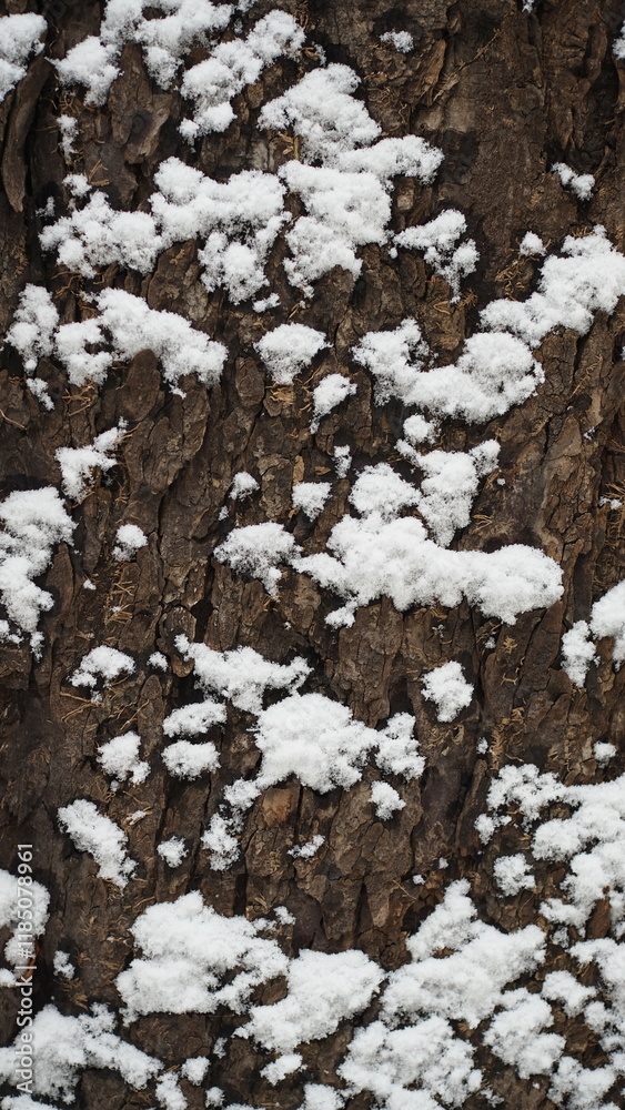snow bark