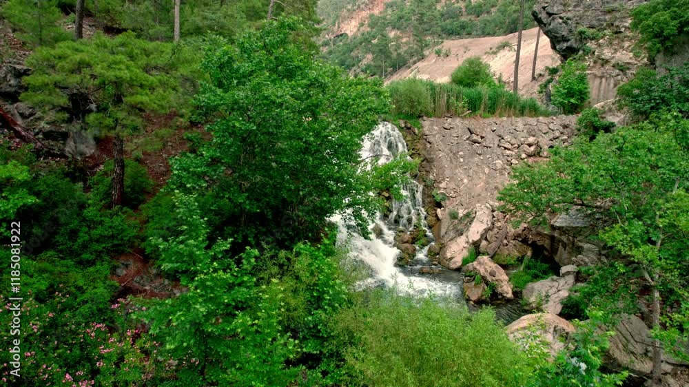 A serene view of a stream flowing gently between natural rocks, surrounded greenery.This enchanting scene reflects the tranquility and wild beauty of nature, offering a sense of peace and harmony. A serene view of a stream flowing gently between natural rocks, surrounded greenery.This enchanting scene reflects the tranquility and wild beauty of nature, offering a sense of peace and harmony.