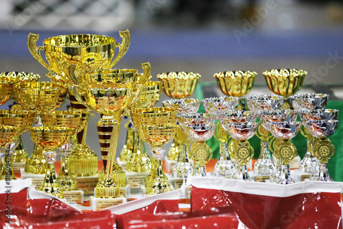 Group of shiny golden trophies in a rows waiting for competitors and winners