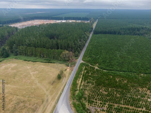 Aerial view of a road cutting through a pine forest, with a lumber mill in the background. Forestry and logging operations. KAINGAROA FOREST, ROTORUA, BAY OF PLENTY, NEW ZEALAND photo