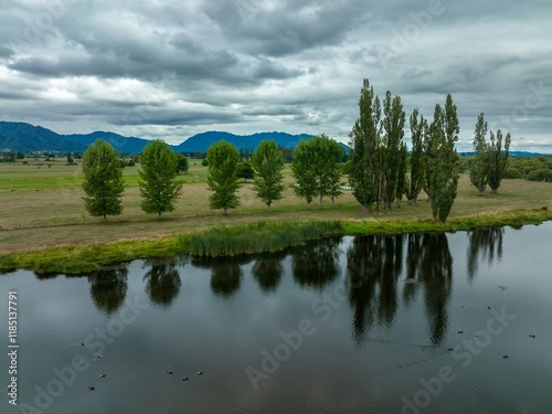 Peaceful rural scene. Ducks on a calm lake, reflecting trees. Cloudy day. LAKE ANIWHENUA, MURUPARA, BAY OF PLENTY, NEW ZEALAND photo